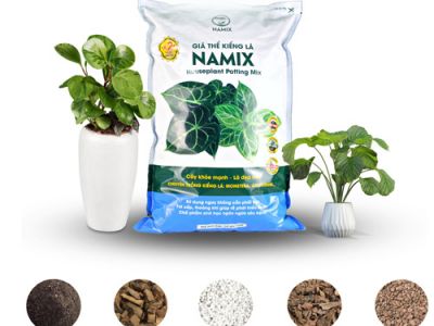 Giá thể trồng kiểng lá Namix