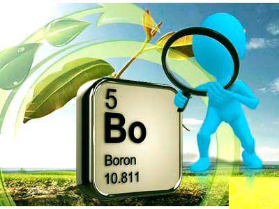 Bo (B) - Boron