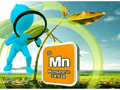 Mangan (Mn) - Manganese